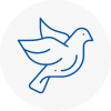 Bird Prevention Higham Ferrers