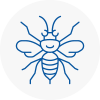 Higham Ferrers Hornet Nest Removals