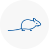 Mice Exterminators In Higham Ferrers
