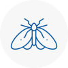Moth Control Specialists In Higham Ferrers