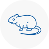 Rat Control Higham Ferrers