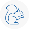 Higham Ferrers Rodent Removals